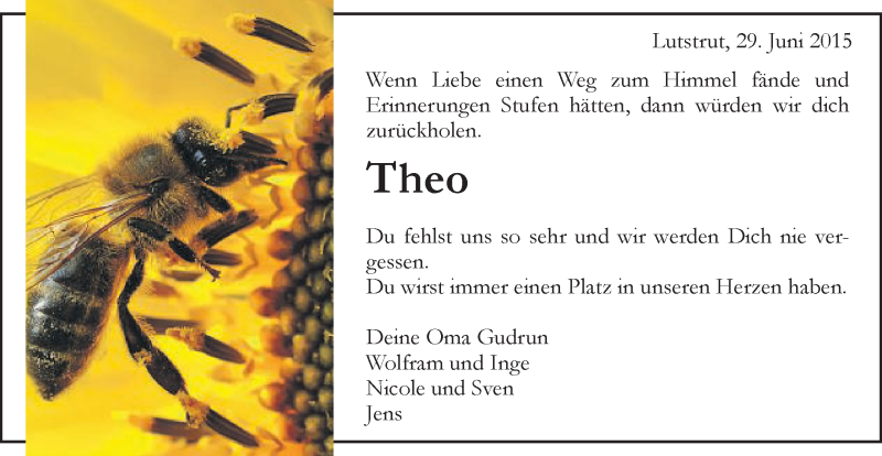  Traueranzeige für Theo Schneider vom 29.06.2015 aus Schwäbische Post