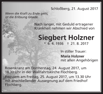 Traueranzeige von Siegbert Holzner von Schwäbische Post