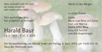 Traueranzeige von Harald Baur von Gmünder Tagespost