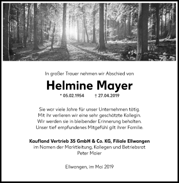 Traueranzeige von Helmine Mayer von Schwäbische Post