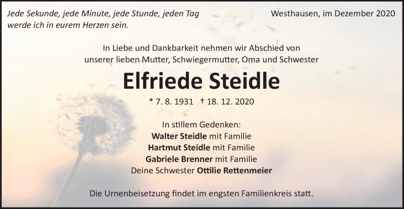  Traueranzeige für Elfriede Steidle vom 28.12.2020 aus Schwäbische Post