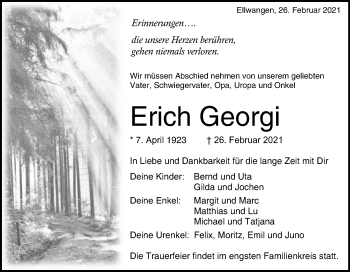 Traueranzeige von Erich Georgi