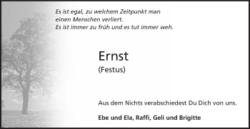 Traueranzeige von Ernst Schwenk von Gmünder Tagespost