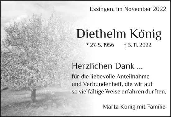 Traueranzeige von Diethelm König von Schwäbische Post