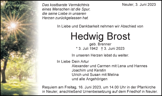 Traueranzeige von Hedwig Brost von Schwäbische Post