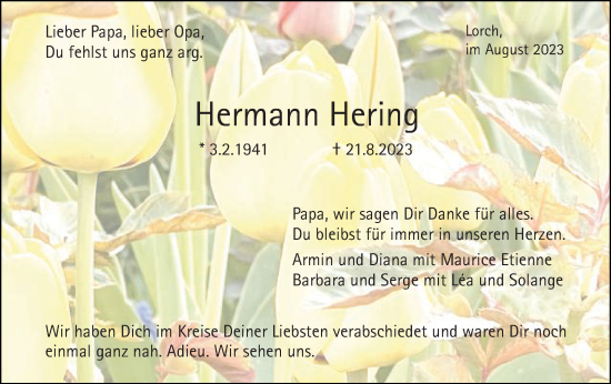 Traueranzeige von Hermann Hering von Gmünder Tagespost