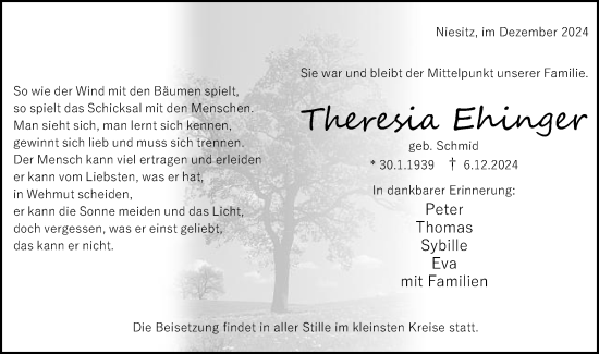 Traueranzeige von Theresia Ehinger von Schwäbische Post