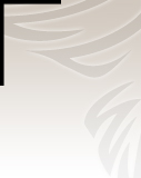 Profilbild Gertraude Hirsch