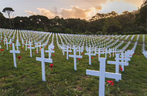 Der Soldatenfriedhof Der Soldatenfriedhof