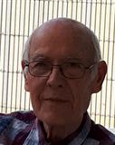 Profilbild Giorgio Lapini
